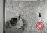Image of psychological warfare team Korea, 1951, second 11 stock footage video 65675047197