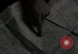 Image of psychological warfare Seoul Korea, 1952, second 49 stock footage video 65675047203