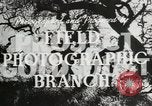 Standbild Projekt Gold Staub Birma, 1944, aus Sekunde 20 historischem Filmmaterial Videoclip 65675047213