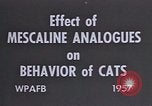 Standbild Verhalten von Katzen United States USA, 1957, aus Sekunde 15 historischem Filmmaterial Videoclip 65675047214