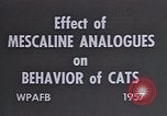 Standbild Verhalten von Katzen United States USA, 1957, aus Sekunde 16 historischem Filmmaterial Videoclip 65675047214