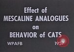 Standbild Verhalten von Katzen United States USA, 1957, aus Sekunde 17 historischem Filmmaterial Videoclip 65675047214