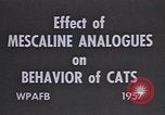 Standbild Verhalten von Katzen United States USA, 1957, aus Sekunde 19 historischem Filmmaterial Videoclip 65675047214
