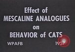 Standbild Verhalten von Katzen United States USA, 1957, aus Sekunde 20 historischem Filmmaterial Videoclip 65675047214