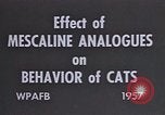 Standbild Verhalten von Katzen United States USA, 1957, aus Sekunde 22 historischem Filmmaterial Videoclip 65675047214
