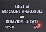 Standbild Verhalten von Katzen United States USA, 1957, aus Sekunde 24 historischem Filmmaterial Videoclip 65675047214