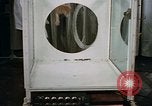 Standbild Verhalten von Katzen United States USA, 1957, aus Sekunde 34 historischem Filmmaterial Videoclip 65675047214