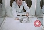 Image of behavior of cats United States USA, 1957, second 10 stock footage video 65675047215