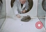Image of behavior of cats United States USA, 1957, second 16 stock footage video 65675047215