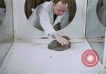 Image of behavior of cats United States USA, 1957, second 17 stock footage video 65675047215