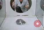 Image of behavior of cats United States USA, 1957, second 25 stock footage video 65675047215