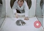 Image of behavior of cats United States USA, 1957, second 31 stock footage video 65675047215