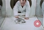 Image of behavior of cats United States USA, 1957, second 39 stock footage video 65675047215