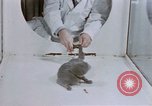 Standbild Verhalten von Katzen United States USA, 1957, aus Sekunde 19 historischem Filmmaterial Videoclip 65675047216