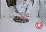 Standbild Verhalten von Katzen United States USA, 1957, aus Sekunde 28 historischem Filmmaterial Videoclip 65675047216