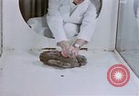 Standbild Verhalten von Katzen United States USA, 1957, aus Sekunde 29 historischem Filmmaterial Videoclip 65675047216