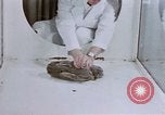 Standbild Verhalten von Katzen United States USA, 1957, aus Sekunde 30 historischem Filmmaterial Videoclip 65675047216