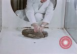 Standbild Verhalten von Katzen United States USA, 1957, aus Sekunde 31 historischem Filmmaterial Videoclip 65675047216