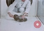 Standbild Verhalten von Katzen United States USA, 1957, aus Sekunde 36 historischem Filmmaterial Videoclip 65675047216