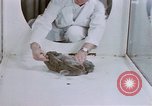Standbild Verhalten von Katzen United States USA, 1957, aus Sekunde 37 historischem Filmmaterial Videoclip 65675047216
