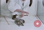 Standbild Verhalten von Katzen United States USA, 1957, aus Sekunde 43 historischem Filmmaterial Videoclip 65675047216