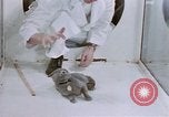 Standbild Verhalten von Katzen United States USA, 1957, aus Sekunde 46 historischem Filmmaterial Videoclip 65675047216