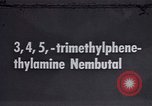 Image Comportement des chats United States USA, 1957, de la seconde 1 séquences d'archives historiques vidéo 65675047218
