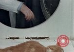Image Comportement des chats United States USA, 1957, de la seconde 36 séquences d'archives historiques vidéo 65675047218