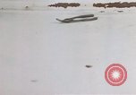 Image of behavior of cats United States USA, 1957, second 26 stock footage video 65675047222