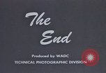 Image of behavior of cats United States USA, 1957, second 24 stock footage video 65675047224