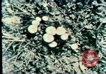 Image Mission Mind Control United States USA, 1979, de la seconde 47 séquences d'archives historiques vidéo 65675047228