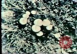 Image Mission Mind Control United States USA, 1979, de la seconde 48 séquences d'archives historiques vidéo 65675047228