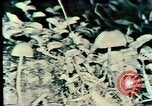 Image Mission Mind Control United States USA, 1979, de la seconde 49 séquences d'archives historiques vidéo 65675047228