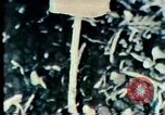 Image Mission Mind Control United States USA, 1979, de la seconde 51 séquences d'archives historiques vidéo 65675047228