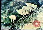 Image Mission Mind Control United States USA, 1979, de la seconde 52 séquences d'archives historiques vidéo 65675047228