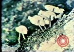 Image Mission Mind Control United States USA, 1979, de la seconde 53 séquences d'archives historiques vidéo 65675047228