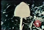 Image Mission Mind Control United States USA, 1979, de la seconde 55 séquences d'archives historiques vidéo 65675047228
