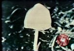 Image Mission Mind Control United States USA, 1979, de la seconde 56 séquences d'archives historiques vidéo 65675047228