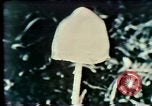 Image Mission Mind Control United States USA, 1979, de la seconde 57 séquences d'archives historiques vidéo 65675047228