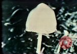 Image Mission Mind Control United States USA, 1979, de la seconde 58 séquences d'archives historiques vidéo 65675047228