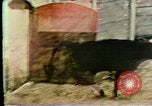 Image Des expériences de contrôle mental United States USA, 1979, de la seconde 3 séquences d'archives historiques vidéo 65675047246
