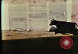 Image Des expériences de contrôle mental United States USA, 1979, de la seconde 5 séquences d'archives historiques vidéo 65675047246