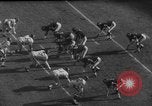 Standbild NFL Riesen versus Bären in 1963 Chicago Illinois USA, 1963, aus Sekunde 14 historischem Filmmaterial Videoclip 65675047251