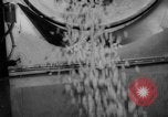 Image of popcorn stuffing New York United States USA, 1959, second 13 stock footage video 65675047253