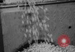Image of popcorn stuffing New York United States USA, 1959, second 14 stock footage video 65675047253