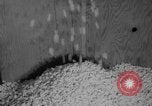 Image of popcorn stuffing New York United States USA, 1959, second 15 stock footage video 65675047253