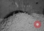 Image of popcorn stuffing New York United States USA, 1959, second 16 stock footage video 65675047253