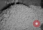 Image of popcorn stuffing New York United States USA, 1959, second 18 stock footage video 65675047253