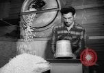 Image of popcorn stuffing New York United States USA, 1959, second 23 stock footage video 65675047253