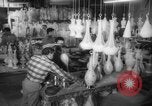 Image of popcorn stuffing New York United States USA, 1959, second 26 stock footage video 65675047253